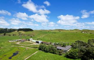 1090 Te Maire Road, Dargaville