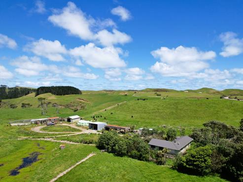 1090 Te Maire Road, Te Kopuru