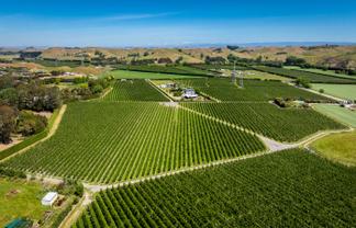 490 Puketitiri Road, Puketapu, Napier South