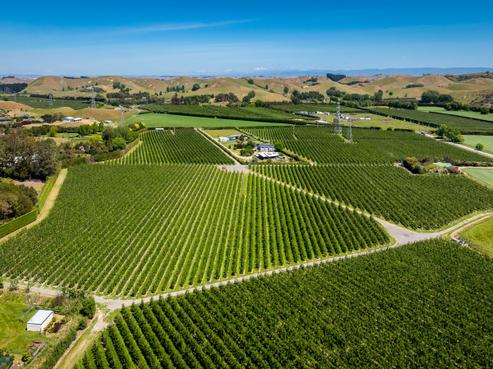 490 Puketitiri Road, Poraiti