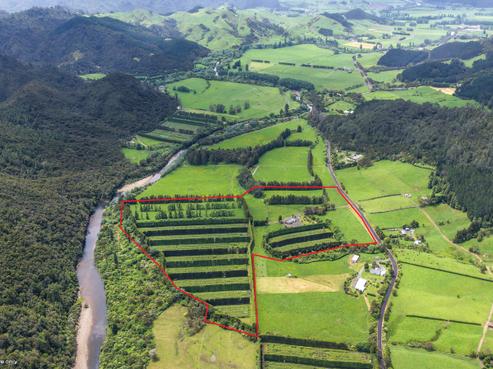 214 Puketui Valley Road, Hikuai