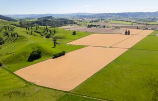  Lavenham Road, Waituhi