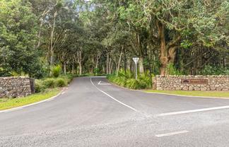 2 Pennyroyal Place, Kamo