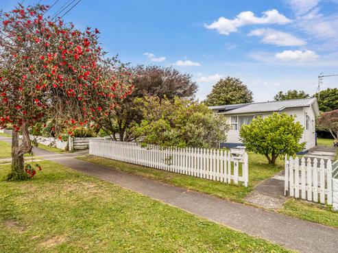 4 Rata Street, Gonville