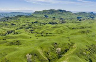 1262 - 1520 Maraetotara Road, Waimarama