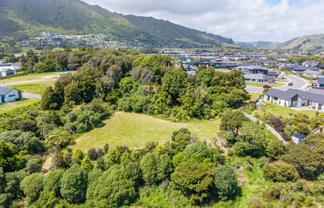41 Morepork Drive, Waikanae