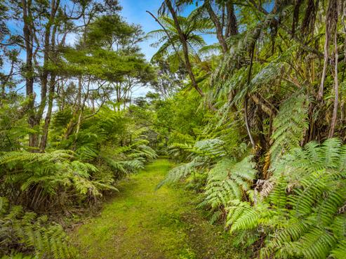 853B Old North Road, Waimauku