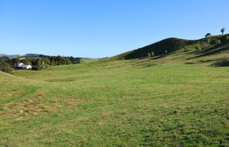 98 Millstream Road, Dannevirke