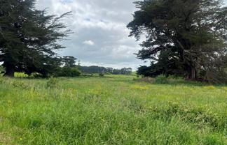  Woodlands Road, Woodville