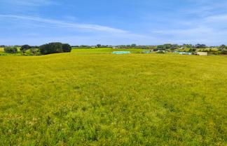 0n Turuturu Road, Hawera