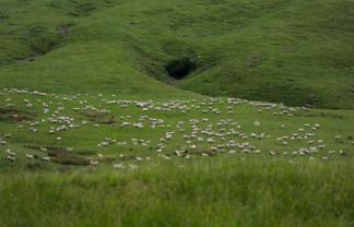 463 Waihi Valley Rd, Dannevirke