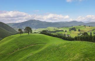 1448 Te Kopia Road, Waikite Valley