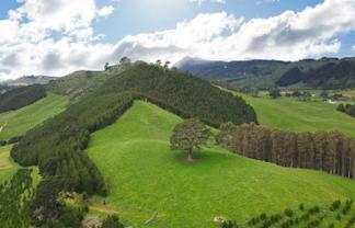 1448 Te Kopia Road, Waikite Valley