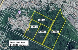   Arnott Heights, Greymouth