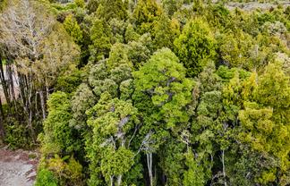 8 Harrison Place, KUMARA JUNCTION