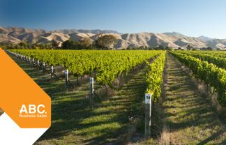 NZ's Wine Heritage: 1 of Waipara's Oldest Wineries