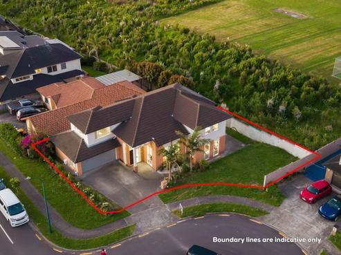 20 Savina Court, Flat Bush