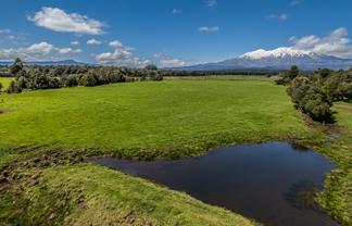 Lot 4, 136 Matapuna Road, Horopito