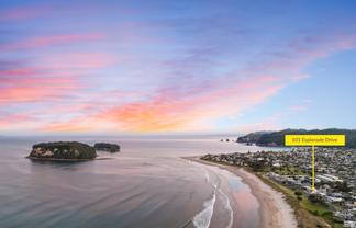 101 Esplanade Drive, Whangamata