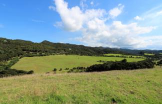 1447 Cove Road, Langs Beach