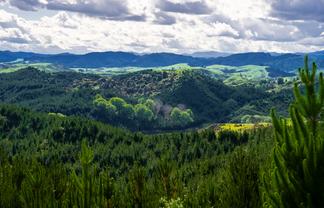  Chimney Creek Forest Rights, Kotemaori