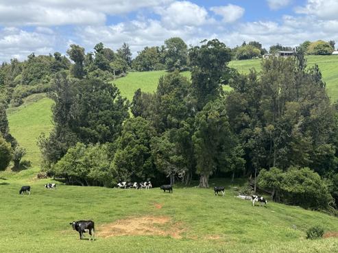 565 Barber Road, Otorohanga