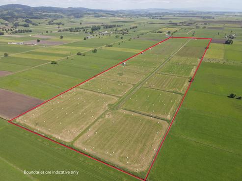 1262 Kaihere Road, Kaihere