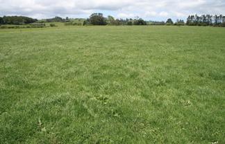 202 Wortley Road, Lepperton