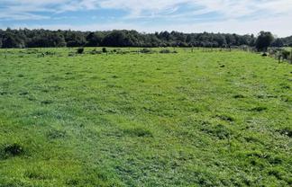 584 York Road, Midhirst