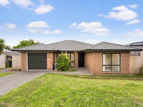 29 Pitt Avenue, Clendon Park