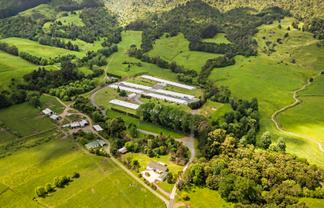 Waikato - Address withheld
