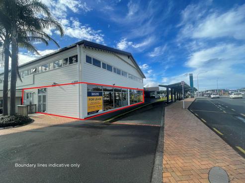 91 Dent Street, Whangarei Central