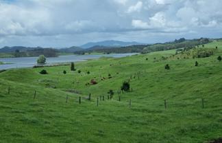 267 Ludbrook Road, Pakaraka