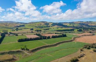 359 Hurunui Mouth Road, Domett