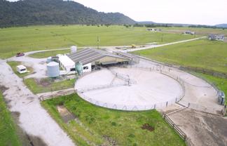 598 Waiho Flat Road, Franz Josef Glacier