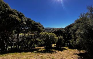 24 Fred Hollows Way, Glenleith