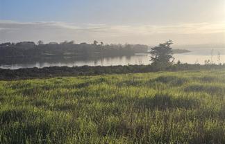 47 Matahehe Lane, Tinopai