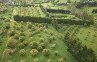 405 Tara Road, Mangawhai