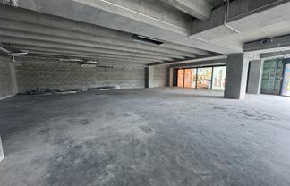 Modern Albany Office | 241 m2