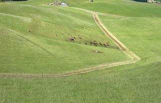  Finlays Road, Windsor