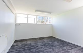 Tidy Takapuna Medical or Office
