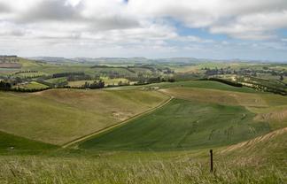 Otago - Address withheld