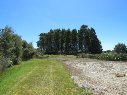 111C Buller Road, Cape Foulwind