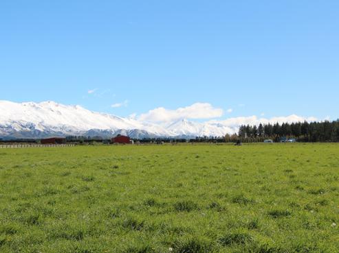 770 Hamilton Road, Fairlie