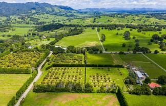 146 Bint Road, Maungakaramea