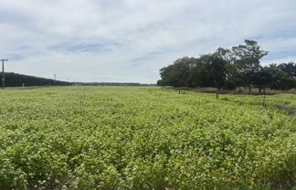 Waimate Highway, Saint Andrews