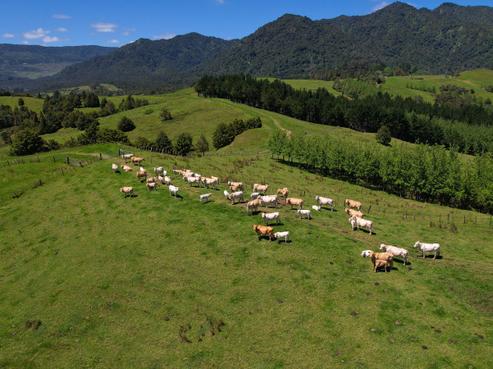 2231 State Highway 12, Kaikohe West