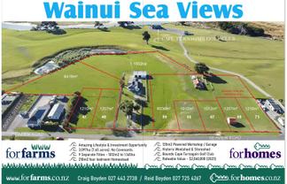 47 49, 53, 59, 65, 67, 69, 71 Seaview Road and Sophy , Herbertville