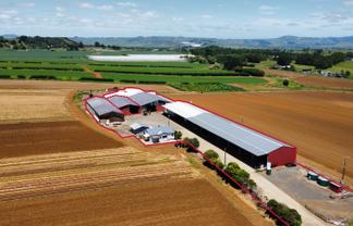 Versatile shedding with yard