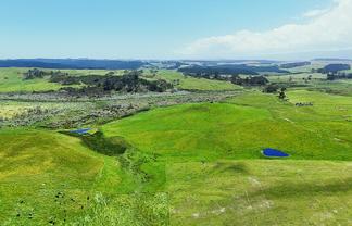 Lot 2, Scottys Camp Road, Dargaville